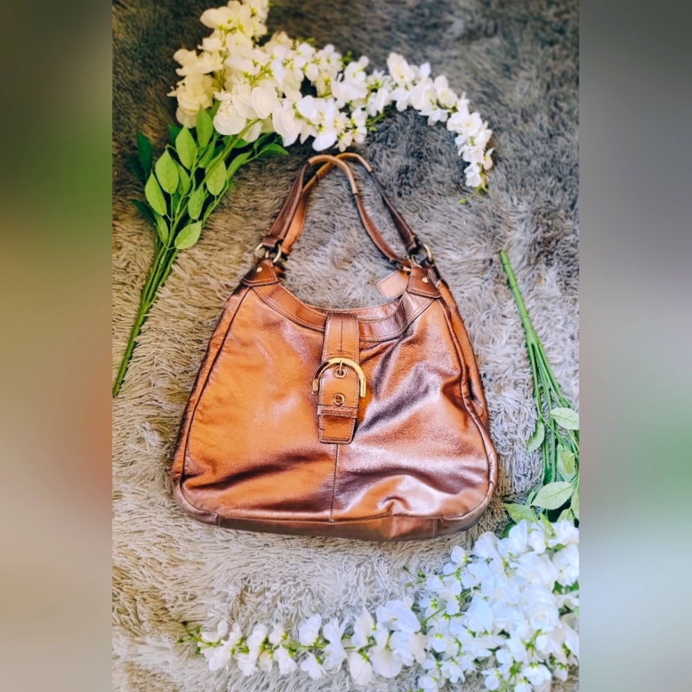 Coach Bag Bronze Gold